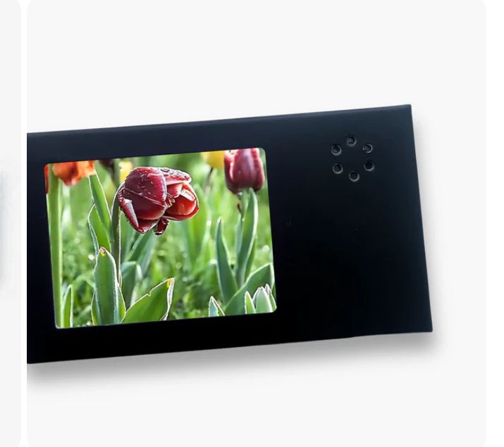 MINI heymemo™ Video Card